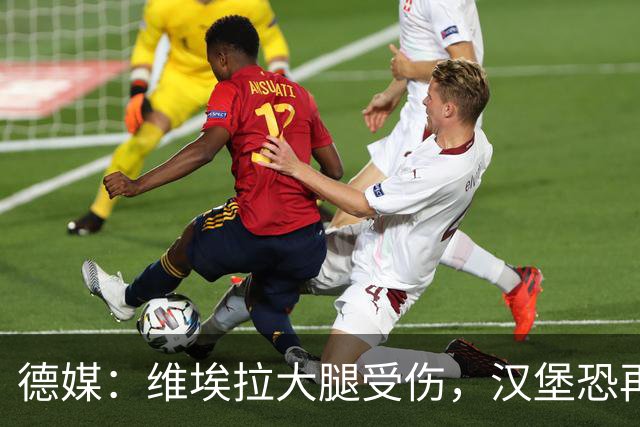 德媒：维埃拉大腿受伤，汉堡恐再失一名核心球员